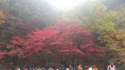 本溪水族館vs祥龍魚場（本溪水族館和祥龍魚場哪個好？） 全國水族館企業(yè)名錄 第4張