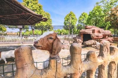 池州水族館vs祥龍魚場（探討池州水族館與祥龍魚場之間的差異之前需要明確基本信息） 全國水族館企業(yè)名錄 第5張