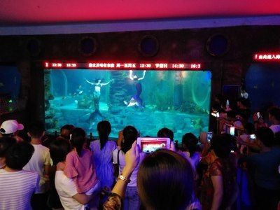 無錫水族館vs祥龍魚場（無錫水族館與祥龍魚場之間的差異之前，我們需要明確兩者的基本信息和特點） 全國水族館企業(yè)名錄 第2張