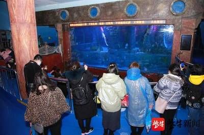 無錫水族館vs祥龍魚場（無錫水族館與祥龍魚場之間的差異之前，我們需要明確兩者的基本信息和特點） 全國水族館企業(yè)名錄 第3張