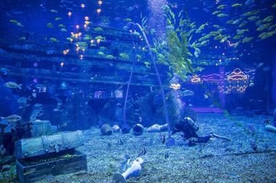 無錫水族館vs祥龍魚場（無錫水族館與祥龍魚場之間的差異之前，我們需要明確兩者的基本信息和特點） 全國水族館企業(yè)名錄 第4張