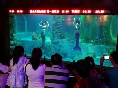 無錫水族館vs祥龍魚場（無錫水族館與祥龍魚場之間的差異之前，我們需要明確兩者的基本信息和特點） 全國水族館企業(yè)名錄 第5張