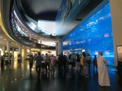 滁州水族館vs祥龍魚場(chǎng)（滇池水族館和祥龍魚場(chǎng)各有其特點(diǎn)） 全國(guó)水族館企業(yè)名錄 第1張