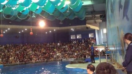 南京水族館vs祥龍魚場（南京水族館和祥龍魚場各有什么區(qū)別？） 全國水族館企業(yè)名錄 第2張