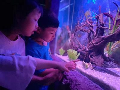 眉山水族館vs祥龍魚場（探討眉山水族館與祥龍魚場之間的差異之前需要明確兩者的基本信息） 全國水族館企業(yè)名錄 第2張