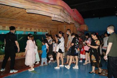 眉山水族館vs祥龍魚場（探討眉山水族館與祥龍魚場之間的差異之前需要明確兩者的基本信息） 全國水族館企業(yè)名錄 第5張