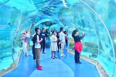 普洱水族館vs祥龍魚場(chǎng)（普洱水族館與祥龍魚場(chǎng)各有特色） 全國(guó)水族館企業(yè)名錄 第1張