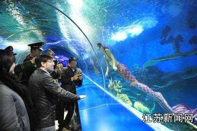 鹽城水族館vs祥龍魚場（鹽城水族館與祥龍魚場之間的差異之前，我們需要明確兩者的主要業(yè)務(wù)和特點） 全國水族館企業(yè)名錄 第4張