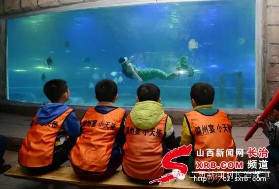 長治水族館vs祥龍魚場（探討長治水族館與祥龍魚場之間的差異之前需要明確兩者的基本信息） 全國水族館企業(yè)名錄 第3張