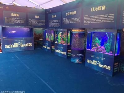 長治水族館vs祥龍魚場（探討長治水族館與祥龍魚場之間的差異之前需要明確兩者的基本信息） 全國水族館企業(yè)名錄 第4張