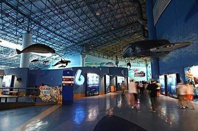 吉林水族館vs祥龍魚場（吉林水族館與祥龍魚場有什么區(qū)別？） 全國水族館企業(yè)名錄 第1張