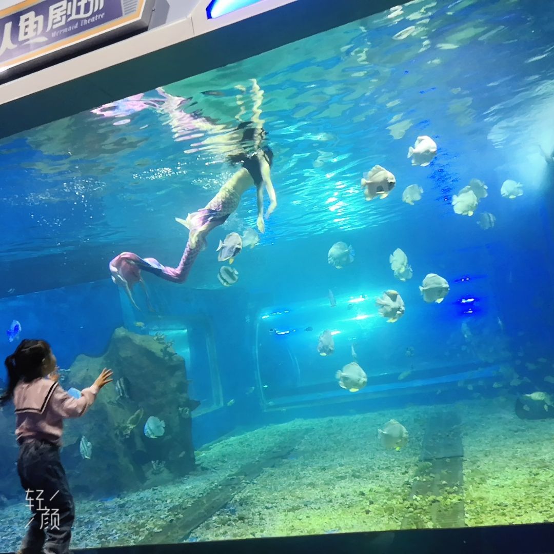 湘潭水族館vs祥龍魚場（探討湘潭水族館與祥龍魚場之間的差異時需要明確兩者的主要業(yè)務和特點） 全國水族館企業(yè)名錄 第4張