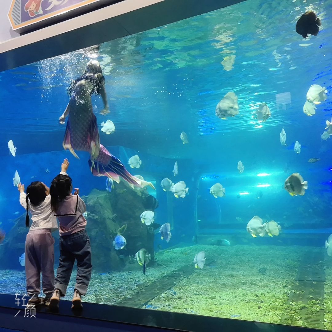 湘潭水族館vs祥龍魚場（探討湘潭水族館與祥龍魚場之間的差異時需要明確兩者的主要業(yè)務和特點） 全國水族館企業(yè)名錄 第5張