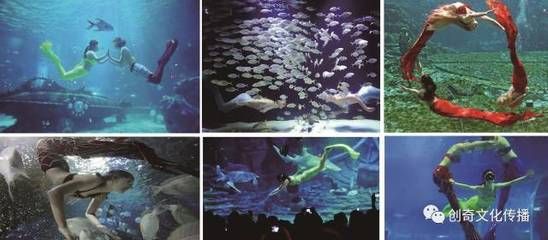 隨州水族館vs祥龍魚(yú)場(chǎng)（探討隨州水族館與祥龍魚(yú)場(chǎng)之間的差異之前我們需要明確兩者的基本信息和特點(diǎn)） 全國(guó)水族館企業(yè)名錄 第1張