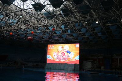 連云港水族館vs祥龍魚場(chǎng)（探討連云港水族館與祥龍魚場(chǎng)之間的差異之前需要明確兩者的基本信息和特點(diǎn)） 全國水族館企業(yè)名錄 第5張