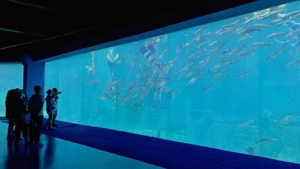 秦皇島水族館vs祥龍魚(yú)場(chǎng)（秦皇島水族館與祥龍魚(yú)場(chǎng)的區(qū)別） 全國(guó)水族館企業(yè)名錄 第4張