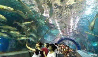 秦皇島水族館vs祥龍魚(yú)場(chǎng)（秦皇島水族館與祥龍魚(yú)場(chǎng)的區(qū)別） 全國(guó)水族館企業(yè)名錄 第3張