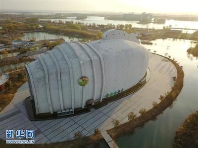 宿遷水族館vs祥龍魚場(chǎng)（宿遷水族館和祥龍魚場(chǎng)哪個(gè)好） 全國(guó)水族館企業(yè)名錄 第5張