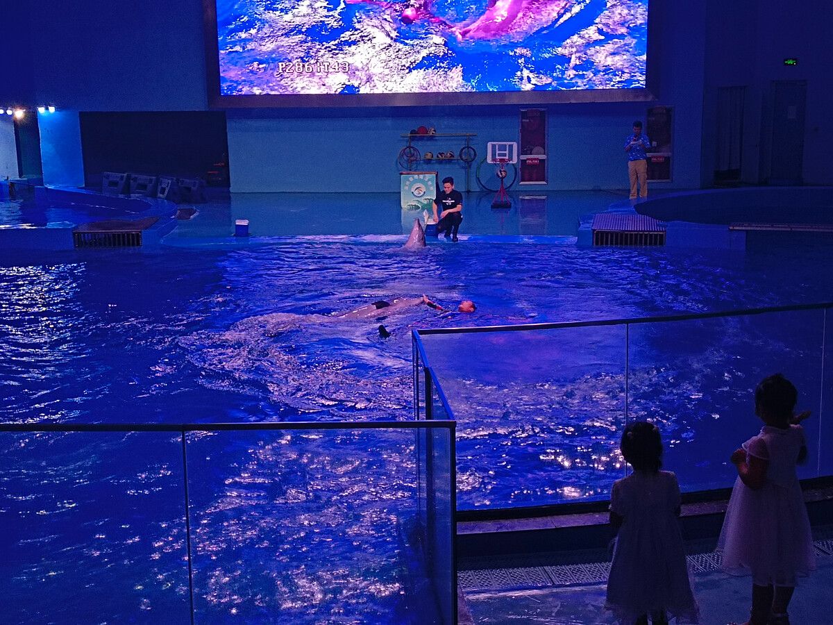 溫州水族館vs祥龍魚場（探討溫州水族館與祥龍魚場之間的差異之前，我們需要明確基本信息） 全國水族館企業(yè)名錄 第5張