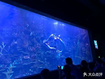 溫州水族館vs祥龍魚場（探討溫州水族館與祥龍魚場之間的差異之前，我們需要明確基本信息） 全國水族館企業(yè)名錄 第3張