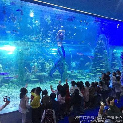 濟(jì)寧水族館vs祥龍魚場（探討濟(jì)寧水族館與祥龍魚場之間的差異之前需要明確兩者的基本信息） 全國水族館企業(yè)名錄 第3張