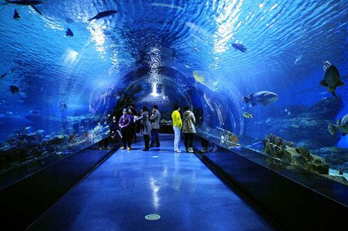 郴州水族館vs祥龍魚場（郴州水族館與祥龍魚場之間的區(qū)別之前，我們需要明確兩者的基本概念和功能） 全國水族館企業(yè)名錄 第3張