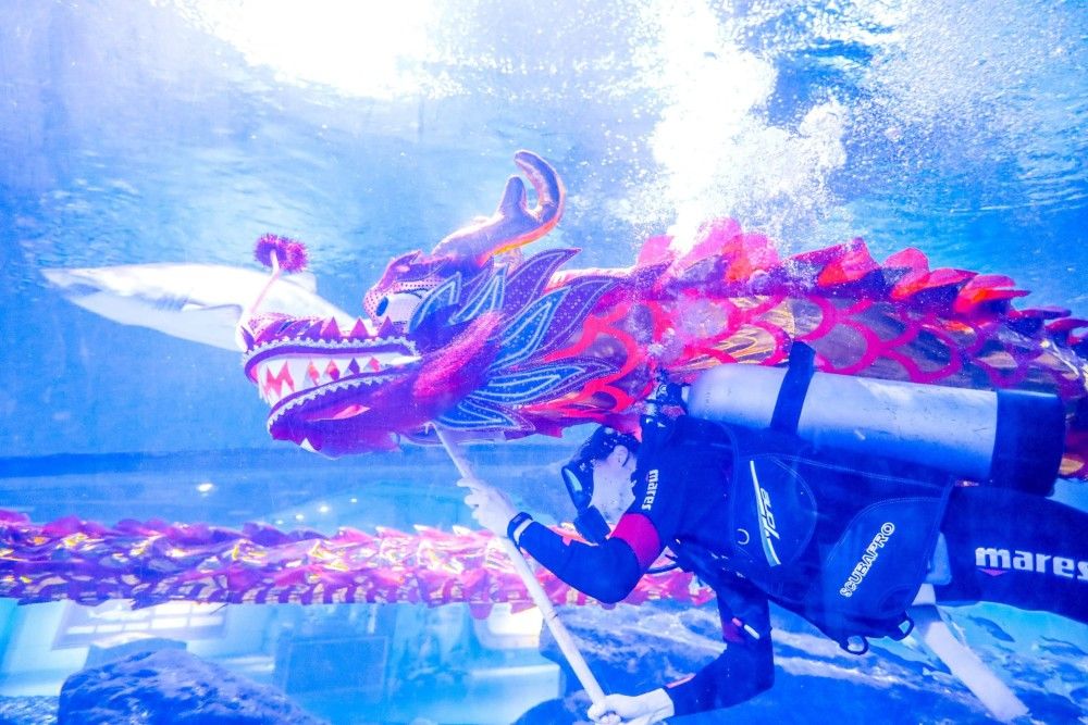 甘南州水族館vs祥龍魚場(chǎng)（甘南州水族館與祥龍魚場(chǎng)的區(qū)別） 全國(guó)水族館企業(yè)名錄 第5張