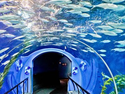 嘉興水族館vs祥龍魚場(chǎng)（嘉興并沒有水族館，祥龍魚場(chǎng)是一家專業(yè)的龍魚養(yǎng)殖和銷售企業(yè)） 全國(guó)水族館企業(yè)名錄 第5張