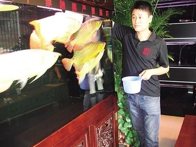 包頭龍魚vs祥龍魚場（包頭龍魚與祥龍魚場哪個好） 全國水族館企業(yè)名錄 第1張