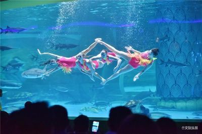 臨滄水族館vs祥龍魚場(chǎng)（臨滄水族館與祥龍魚場(chǎng)的區(qū)別） 全國(guó)水族館企業(yè)名錄 第2張