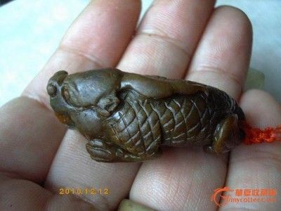 和田龍魚vs祥龍魚場(chǎng)（和田龍魚與祥龍魚場(chǎng)有什么區(qū)別？） 全國(guó)水族館企業(yè)名錄 第3張