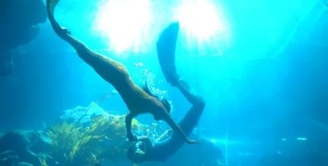 臨汾水族館vs祥龍魚場（臨汾水族館與祥龍魚場各有特色） 全國水族館企業(yè)名錄 第4張