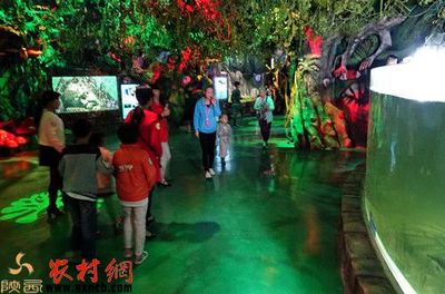 臨潼水族館vs祥龍魚場（臨潼水族館與祥龍魚場有什么區(qū)別？） 全國水族館企業(yè)名錄 第2張