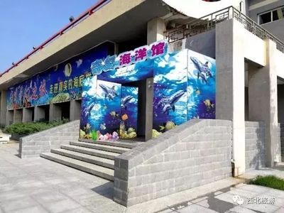 延安水族館vs祥龍魚(yú)場(chǎng)（延安水族館與祥龍魚(yú)場(chǎng)的區(qū)別） 全國(guó)水族館企業(yè)名錄 第4張