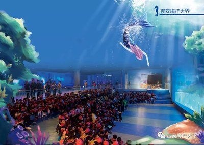 吉安水族館vs祥龍魚場(chǎng)（吉安水族館與祥龍魚場(chǎng)之間的差異之前，我們需要明確基本信息和特點(diǎn)） 全國(guó)水族館企業(yè)名錄 第3張