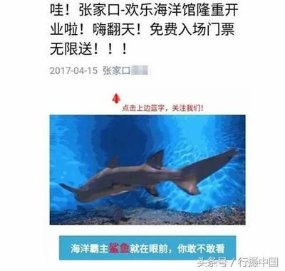 張家口水族館vs祥龍魚(yú)場(chǎng)（張家口水族館與祥龍魚(yú)場(chǎng)之間的差異，地理位置與特色） 全國(guó)水族館企業(yè)名錄 第2張