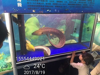 張家口水族館vs祥龍魚(yú)場(chǎng)（張家口水族館與祥龍魚(yú)場(chǎng)之間的差異，地理位置與特色） 全國(guó)水族館企業(yè)名錄 第3張