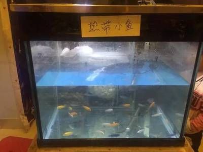 張家口水族館vs祥龍魚(yú)場(chǎng)（張家口水族館與祥龍魚(yú)場(chǎng)之間的差異，地理位置與特色） 全國(guó)水族館企業(yè)名錄 第5張