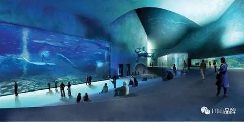 慶陽水族館vs祥龍魚場（慶陽水族館與祥龍魚場的區(qū)別） 全國水族館企業(yè)名錄 第4張