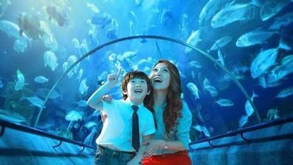 慶陽水族館vs祥龍魚場（慶陽水族館與祥龍魚場的區(qū)別） 全國水族館企業(yè)名錄 第5張