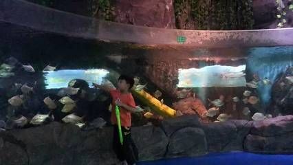 銅仁水族館vs祥龍魚場（貴州銅仁水族館和祥龍魚場在性質(zhì)和目標(biāo)上有所不同） 全國水族館企業(yè)名錄 第1張