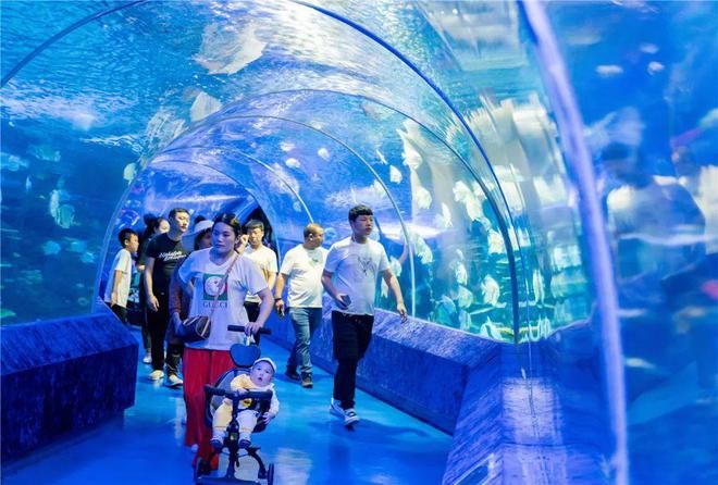 銅仁水族館vs祥龍魚場（貴州銅仁水族館和祥龍魚場在性質(zhì)和目標(biāo)上有所不同） 全國水族館企業(yè)名錄 第5張