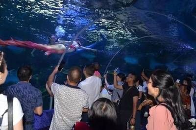 銅仁水族館vs祥龍魚場（貴州銅仁水族館和祥龍魚場在性質(zhì)和目標(biāo)上有所不同） 全國水族館企業(yè)名錄 第4張