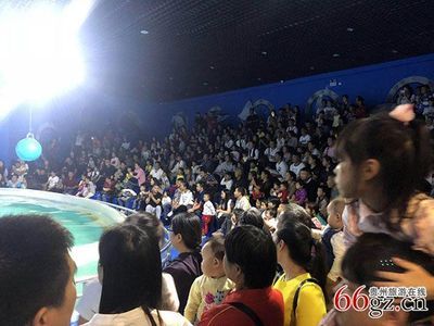 銅仁水族館vs祥龍魚場（貴州銅仁水族館和祥龍魚場在性質(zhì)和目標(biāo)上有所不同） 全國水族館企業(yè)名錄 第2張