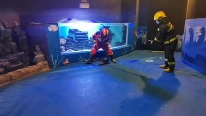 昭通水族館vs祥龍魚場（中國云南昭通水族館和祥龍魚場各有其特色和目標(biāo)受眾） 全國水族館企業(yè)名錄 第1張