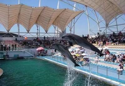 邢臺水族館vs祥龍魚場（邢臺水族館和祥龍魚場是一個大型的地標(biāo)性建筑預(yù)計將成為網(wǎng)紅打卡地） 全國水族館企業(yè)名錄 第3張