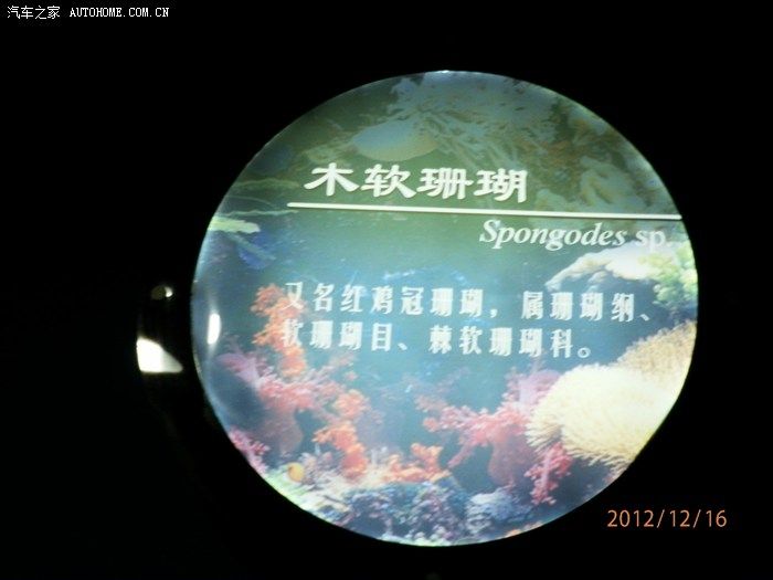 淄博水族館vs祥龍魚場（探討淄博水族館與祥龍魚場之間的差異時，我們需要明確兩者的業(yè)務(wù)和特點） 全國水族館企業(yè)名錄 第2張