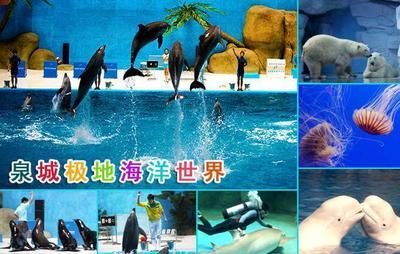 淄博水族館vs祥龍魚場（探討淄博水族館與祥龍魚場之間的差異時，我們需要明確兩者的業(yè)務(wù)和特點） 全國水族館企業(yè)名錄 第5張