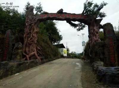 銅仁龍魚vs祥龍魚場（“銅仁龍魚”與“祥龍魚場”） 全國水族館企業(yè)名錄 第2張