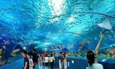 長(zhǎng)沙水族館vs祥龍魚(yú)場(chǎng)（長(zhǎng)沙水族館與祥龍魚(yú)場(chǎng)之間的差異需要明確兩者的區(qū)別） 全國(guó)水族館企業(yè)名錄 第2張